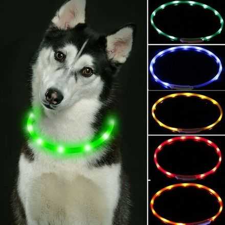 Светящийся ошейник для собак: светодиодный, с usb зарядкой, подсветкой и другие виды ошейников. правила выбора и особенности применения