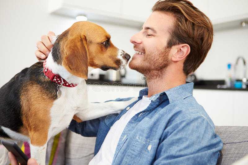 Игры с собаками и щенками: подвижные игры и уход - purina dog chow