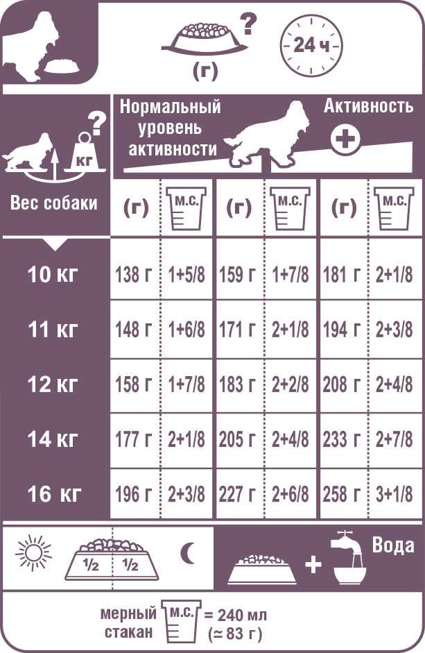 Расчет количества корма для собак (+ таблица): способы расчета, суточные нормы для щенков и взрослых собак
