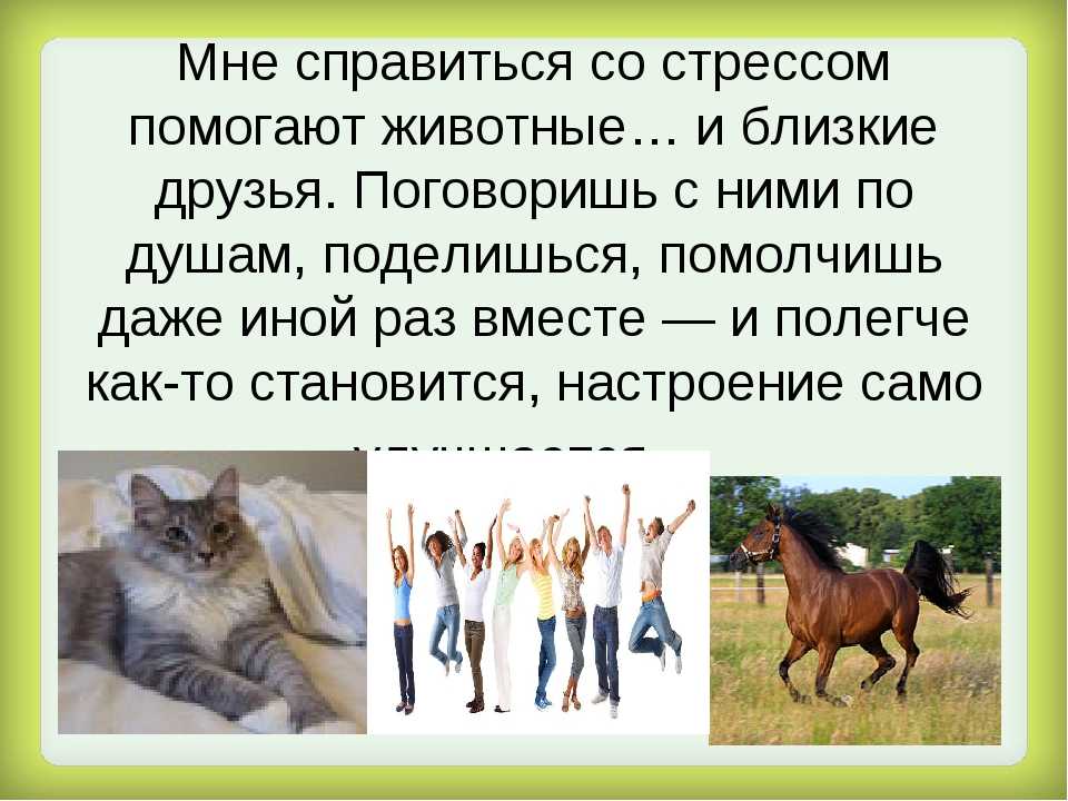 Люди животные названия. Какие животные ближе всего к человеку. Как животные помогают человеку. Люди-животные как называются. Животные помогают с стрессом.