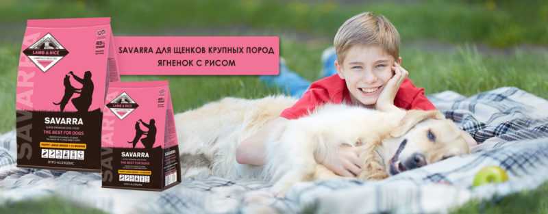 ᐉ обзор и отзывы корма для собак savarra - ➡ motildazoo.ru