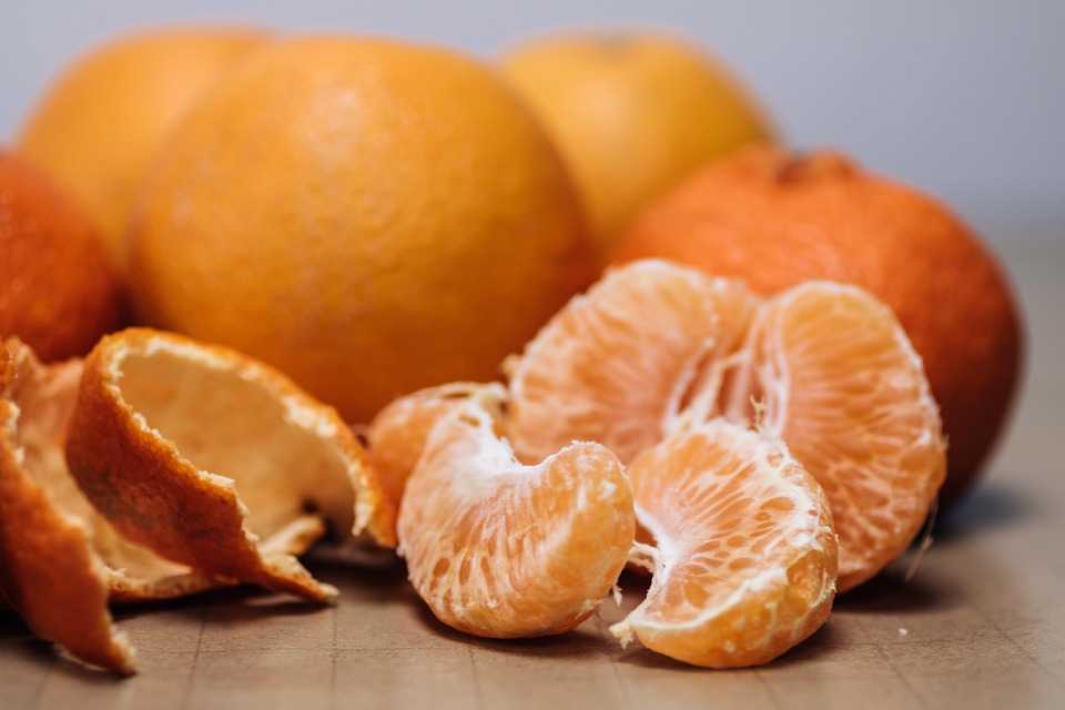 Можно ли собакам апельсины: в чем польза и опасность цитрусов, сколько и как давать, кому нельзя