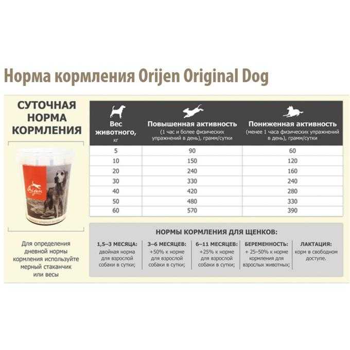 Сколько грамм сухого корма давать собаке в день, как рассчитать дозировку, таблица с нормами, количество натурального питания, для разных пород