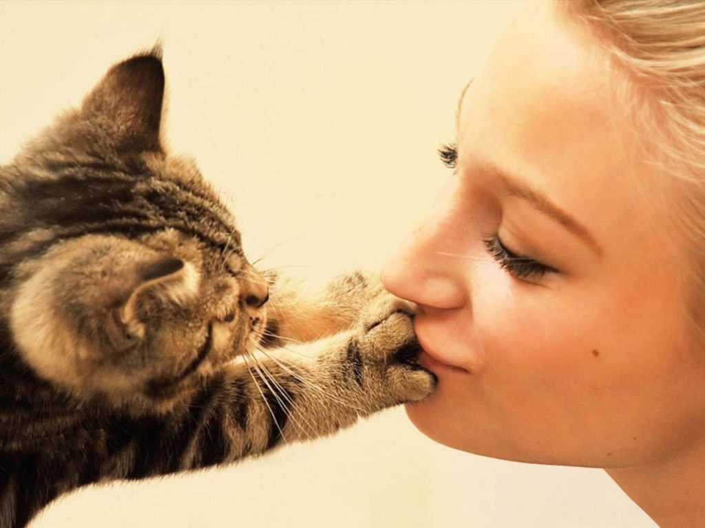 Хозяин для кошки – тот, с кем она безраздельно счастлива: как коты его выбирают
