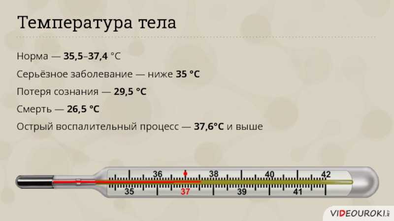 Температура без причины у женщины. Температура тела. Таблица нормы температуры тела. Нормальная температура человека. Норма температуры у человека.