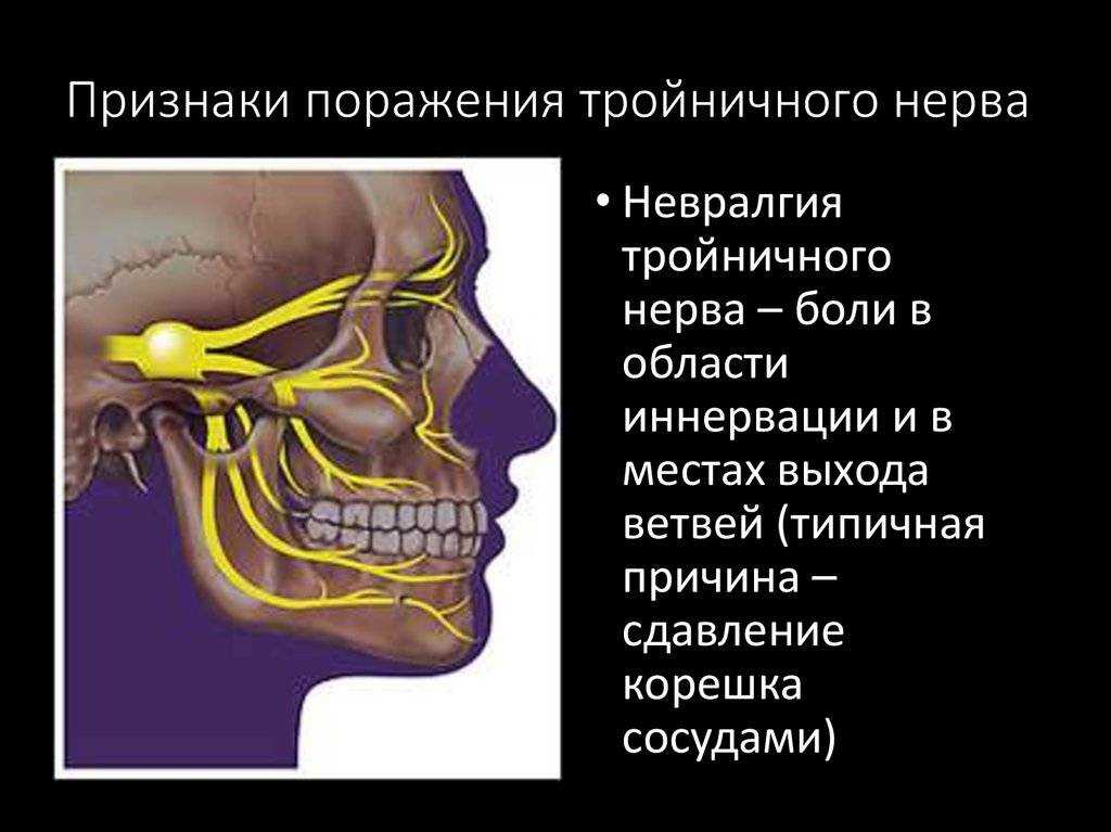 Глоссит — воспаление языка, проявляющееся как результат полученной травмы, воздействия патогенных микроорганизмов или других заболеваний | сеть стоматологий «диамед»