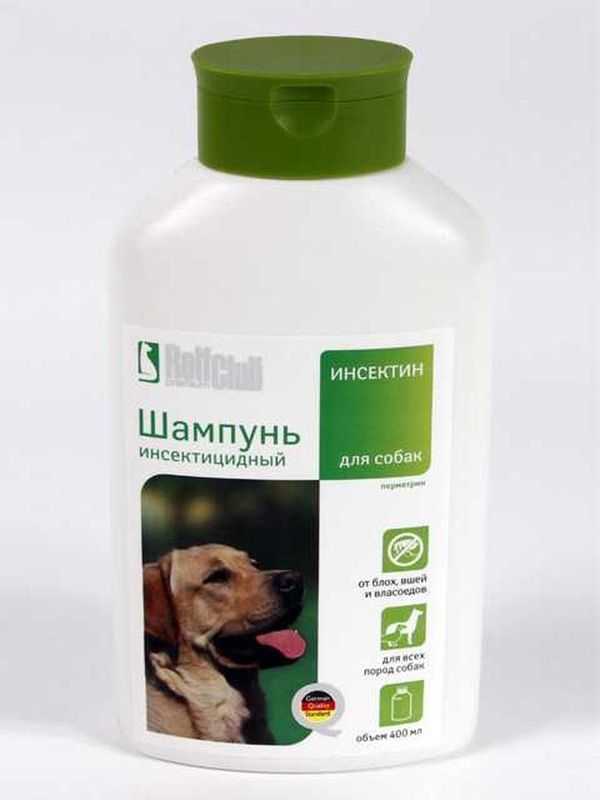 Выбираем эффективный шампунь от блох для собак: доктор zoo, фитоэлита и mr. bruno
