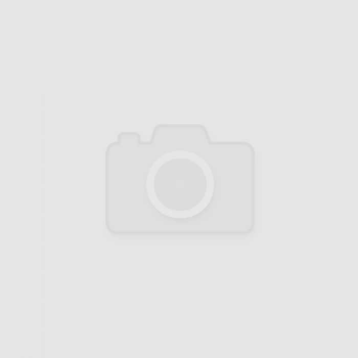 Фландрский бувье: история породы, внешний вид, содержание и уход (+ фото)
