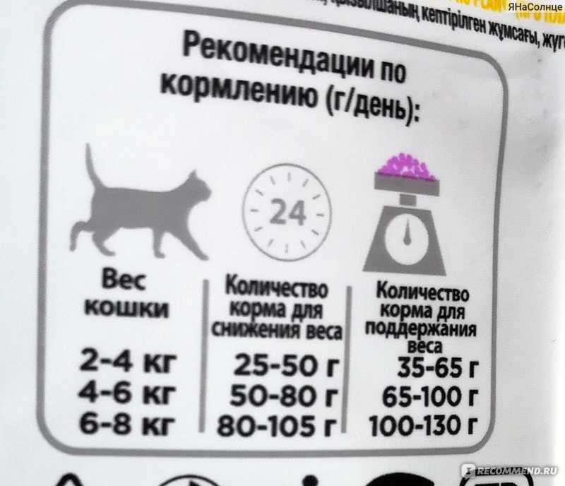 Как кормить кошку сухим кормом правильно инструкция для владельцев