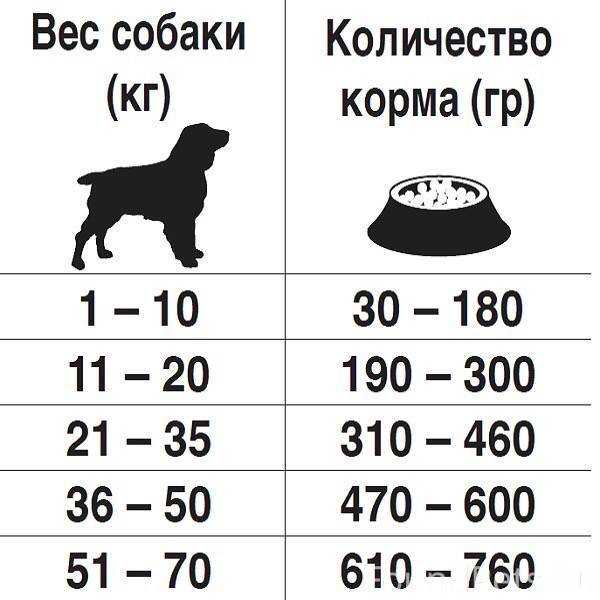 Сколько сухого корма давать собаке в день: расчеты по весу и таблица