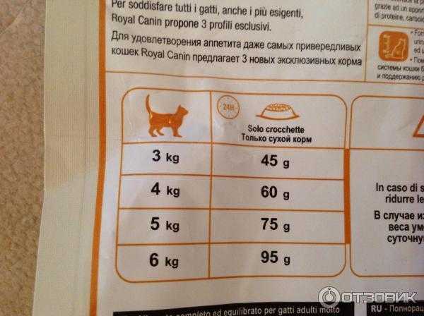Как и чем кормить котёнка в возрасте от 2 до 6 месяцев?