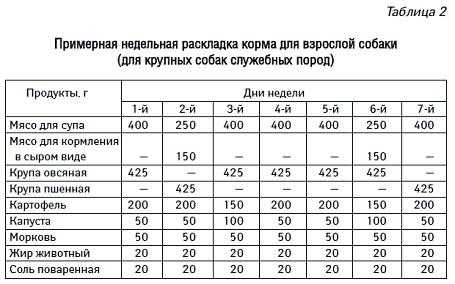 Чем кормить собаку в домашних условиях: рацион кормления натуральной пищей и меню на неделю