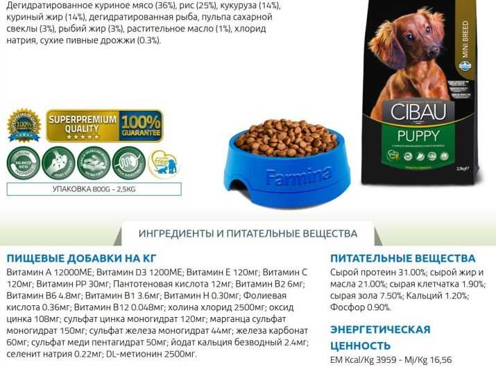 Гипоаллергенные корма для собак: рейтинг лучших производителей
