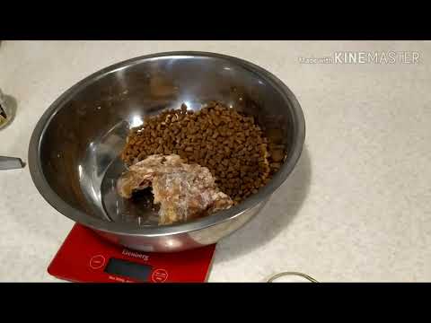 Чем кормить щенка и взрослую немецкую овчарку