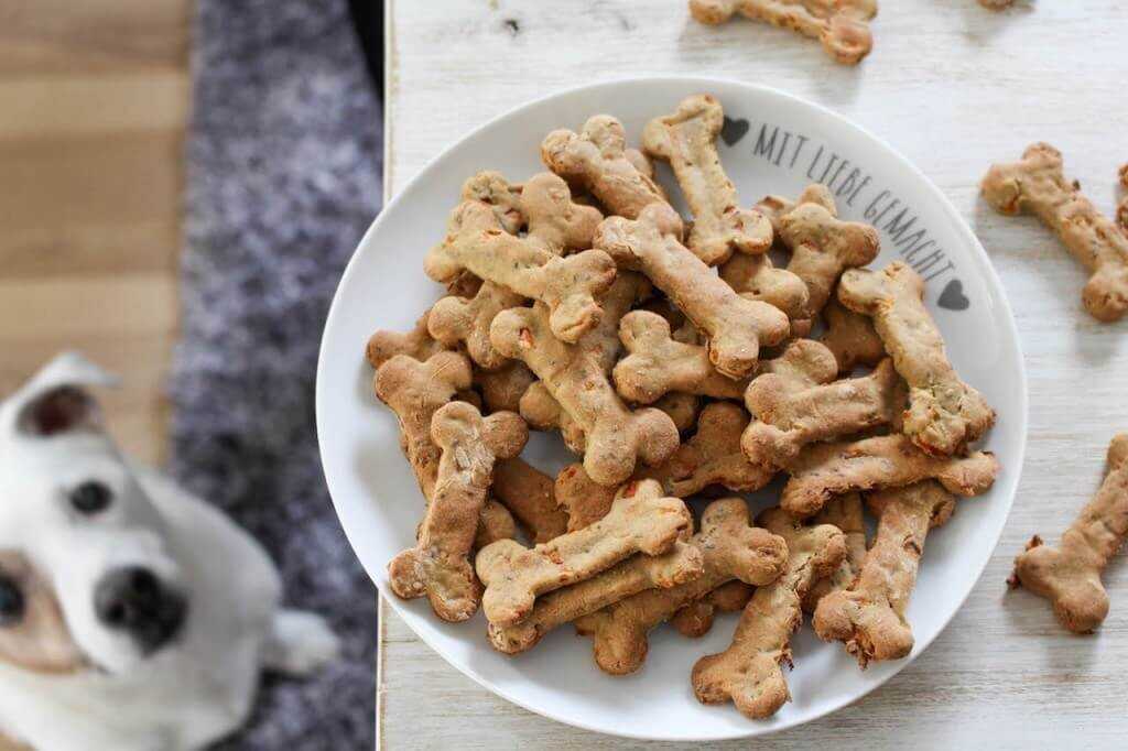 Лакомства для собак своими руками: как сделать вкусняшки из печени и легкого в домашних условиях? рецепты приготовления натуральных лакомств