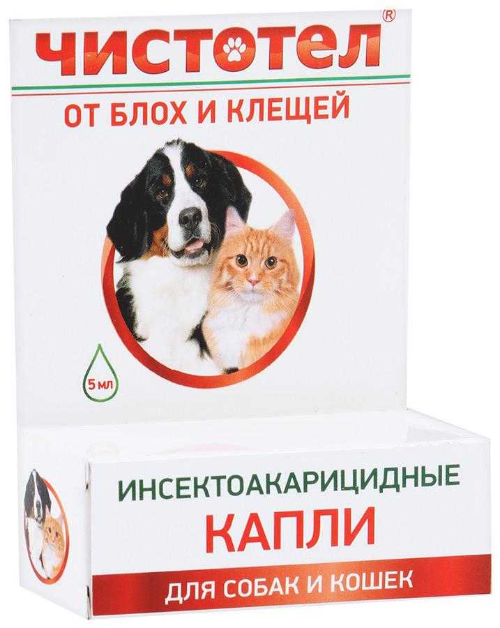 Отравление у кошки - первая помощь при отравлении. ветеринарная клиника "зоостатус"