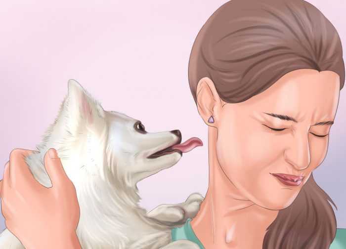 Почему у собаки пахнет изо рта тухлятиной: что делать