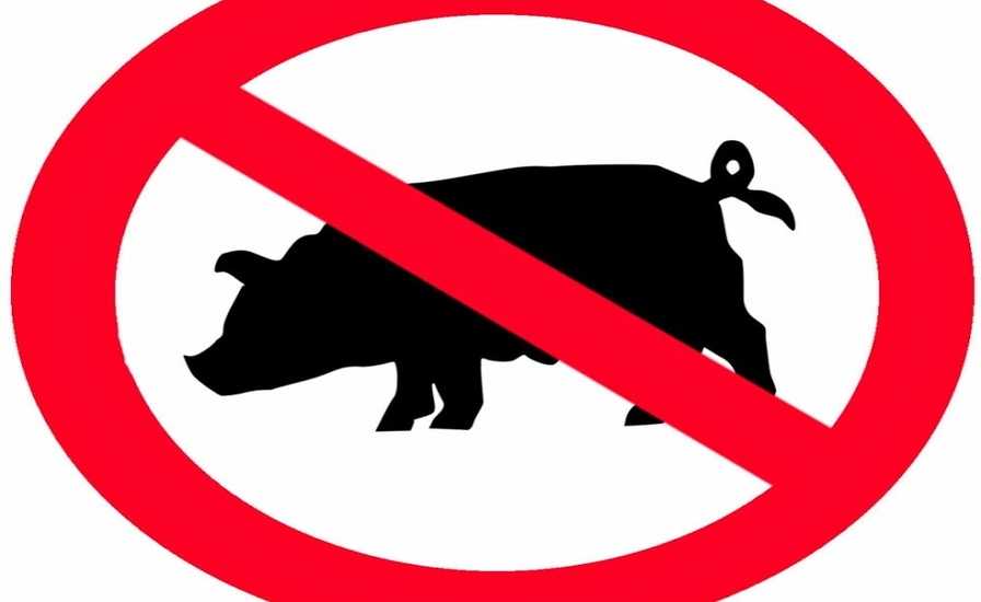 Почему собаке нельзя давать свинину: причины и последствия