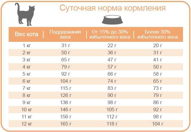 Как правильно перевести собаку на сухой корм — pet-mir.ru