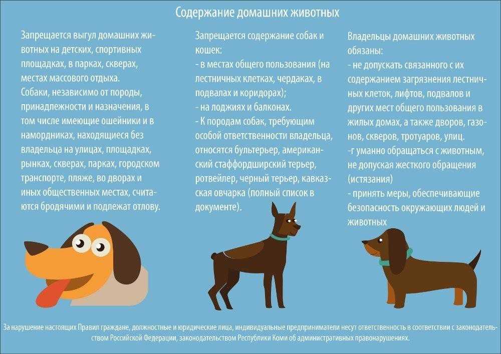 Уход за собакой - советы кинолога сергея томилова на dogrf.ru