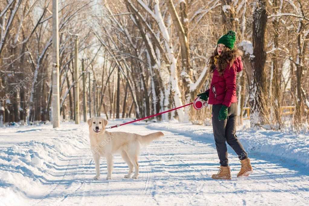 Прогулка с собакой: продолжительность, правила выгула, что взять с собой и чем заняться, правила гигиены после прогулки