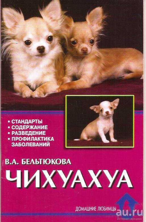 6 причин, почему собака хрюкает: кашляет, как будто хрюкает, задыхается - kotiko.ru
