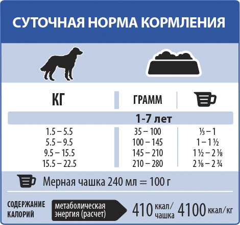 Как и чем кормить щенка мопса: меню в 1, 2, 3, 4 или 6 месяцев, режим и норма кормления