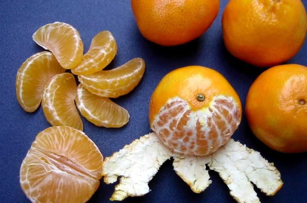 Можно ли собакам мандарины и апельсины? 17 фото едят ли они цитрусовые фрукты? почему им нельзя их давать?