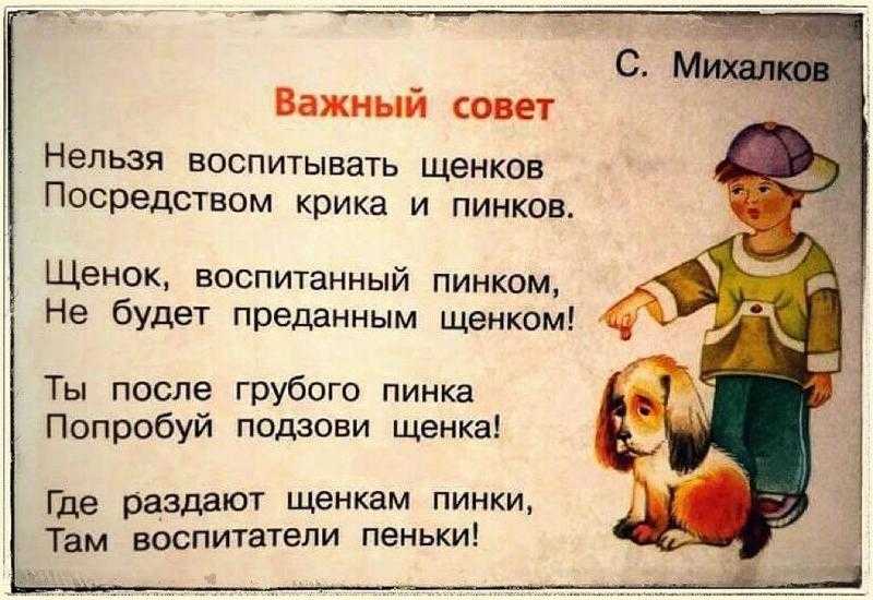 ᐉ можно ли бить щенка в целях воспитания: избиение собаки - zoomanji.ru