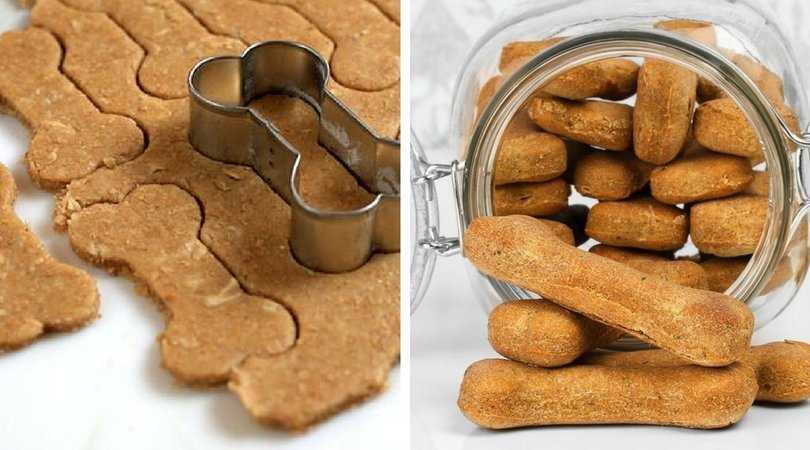 Печенье для собак: рецепты приготовления печенья из овсянки и печени. как правильно сделать собачье лакомство? всем ли животным можно давать?