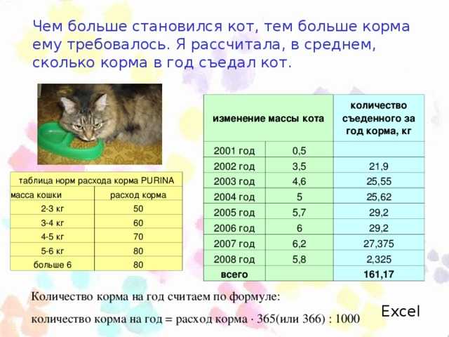 Сколько весит кот: таблица веса кошек по возрасту, норма и причины отклонения от нее