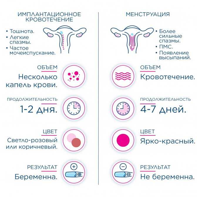 Нарушения менструального цикла: задержки, редкие месячные, скудные менструации. причины нарушений цикла. почему при сбое цикла надо обращаться к врачу?