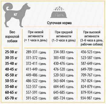 Норма корма для собак - сколько корма нужно собаке в день, таблицы | petguru