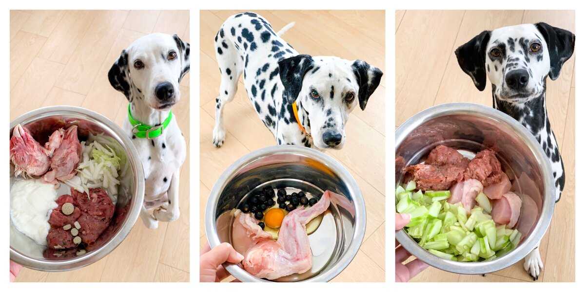 Чем кормить щенка чтобы набрал массу
