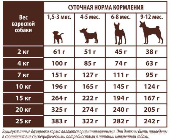 Нормы сухого корма для собак в день по весу: таблица