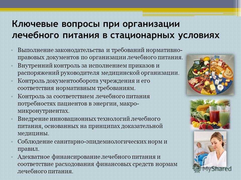 Кормление и питание собак и кошек, прочих животных в беларуси