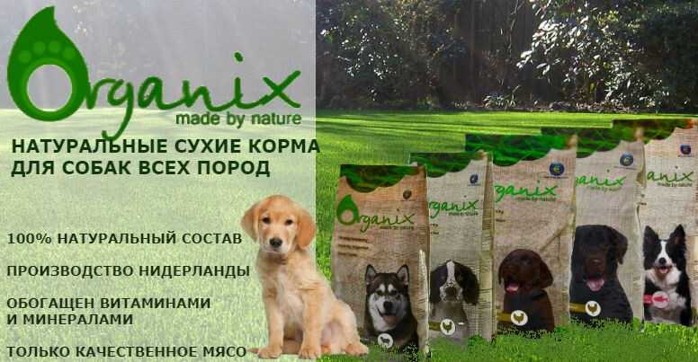 Organix (органикс): обзор корма для кошек, состав, отзывы