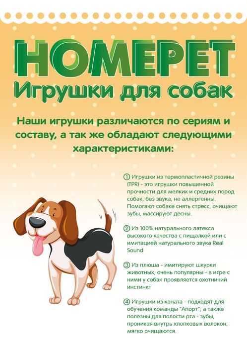 Обучение команде «апорт»: методы и советы